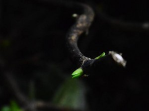 返璞归真:互联网金融的重生之劫-蜂巢网